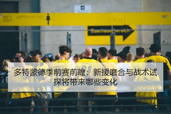 多特蒙德季前赛前瞻：新援磨合与战术试探将带来哪些变化 | feifanyule